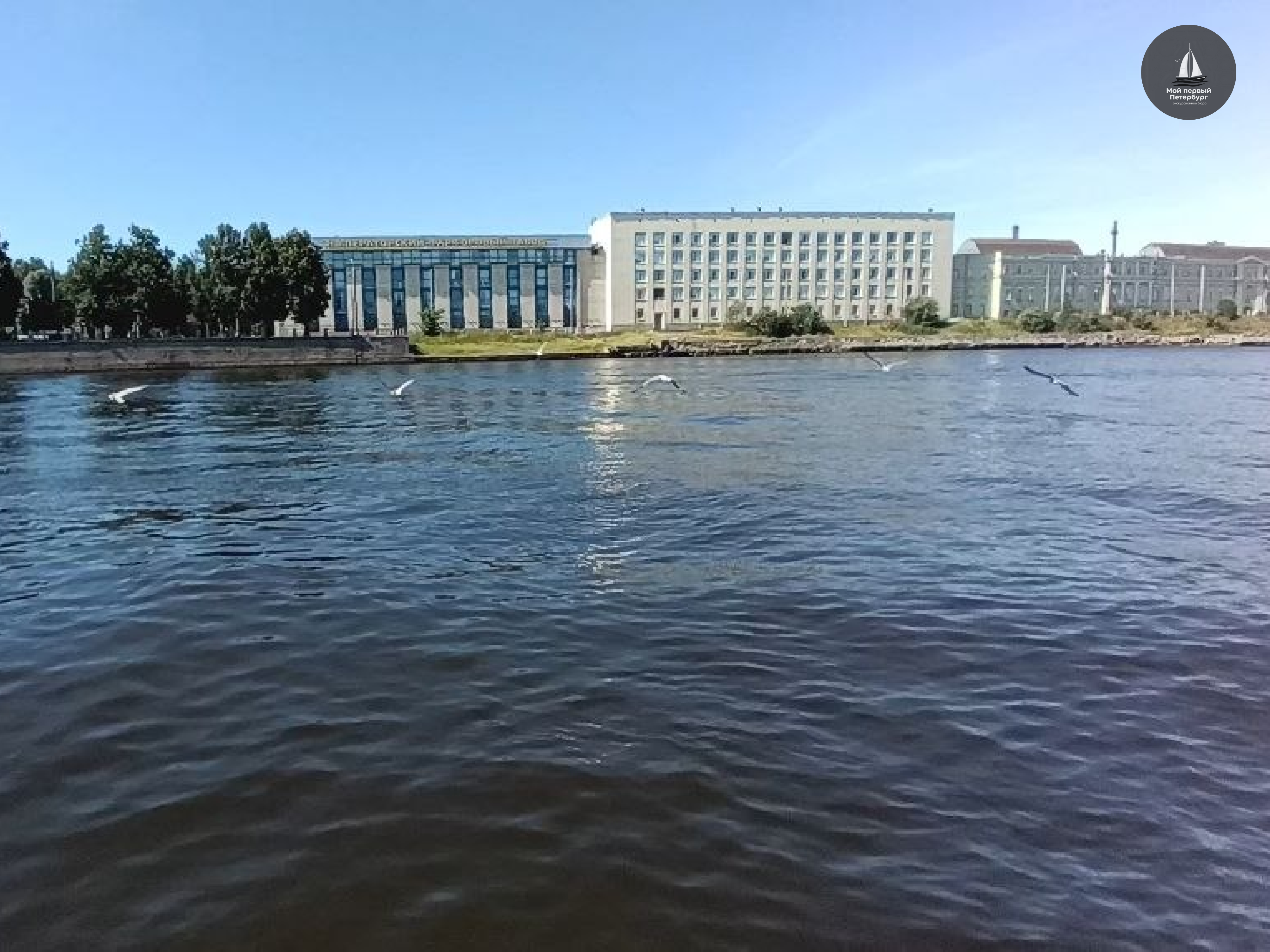 Вид на Неву с катера по пути в Кронштадт