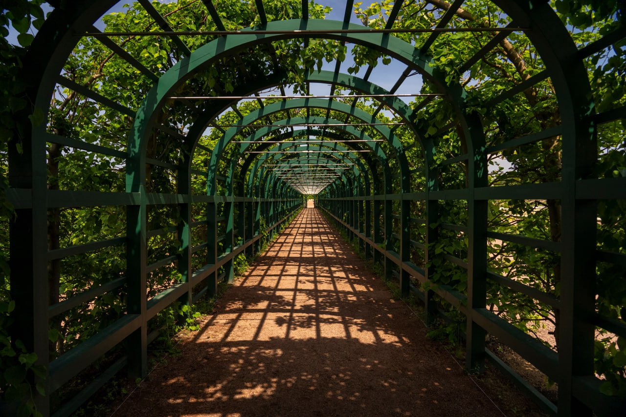 Путешествие в Петергоф