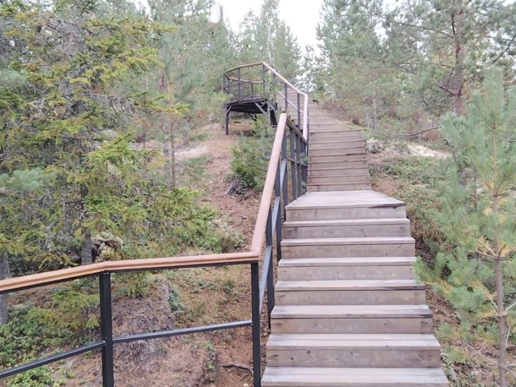 Линия Маннергейма и эко-тропа Ярви: леса и история Карельского перешейка